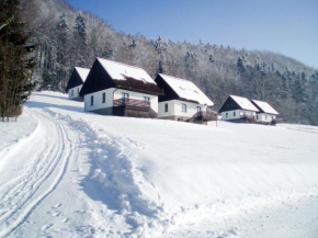 Holiday Home Stárkov by Interhome Starkov